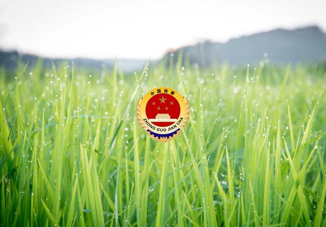 內蒙古自治區武川縣人民檢察院內網